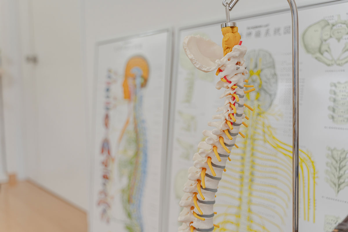 カイロプラクティック 施術料金